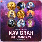 Nav Grah Beej Mantras - Gul Saxena Song Download